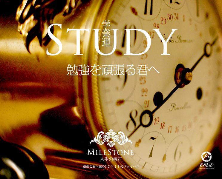 STUDY -ضȱ-